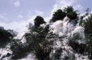Water Falls, El Parque Cachamay, Puerto Ordaz
